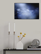 Gentle light Poster och Canvastavla