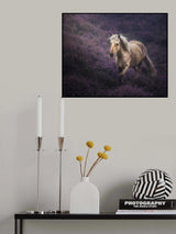 Untamed Beauty Poster och Canvastavla