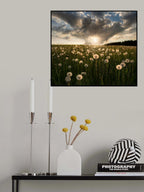 Lightbulbs Poster och Canvastavla