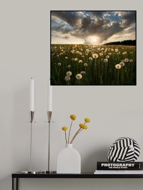 Lightbulbs Poster och Canvastavla