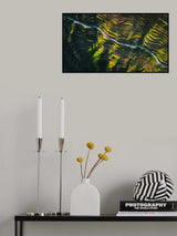 The way of terraced fields Poster och Canvastavla