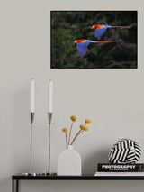 The Couple Poster och Canvastavla