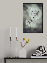 Almond Blossoms Poster och Canvastavla