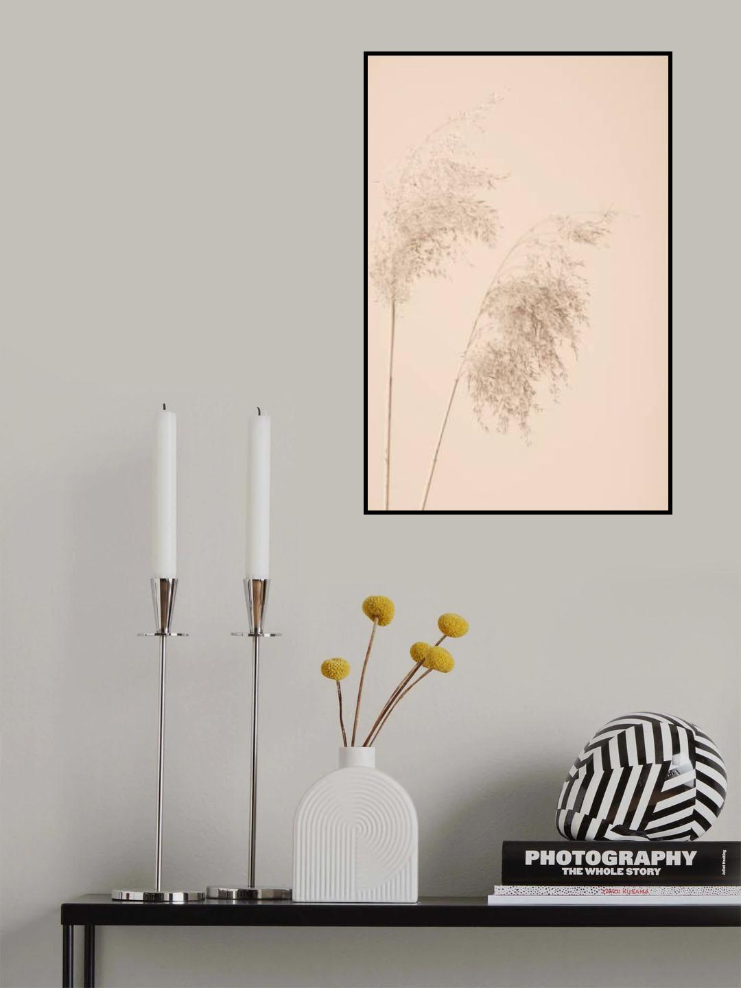 Reed Grass Beige 08 Poster och Canvastavla