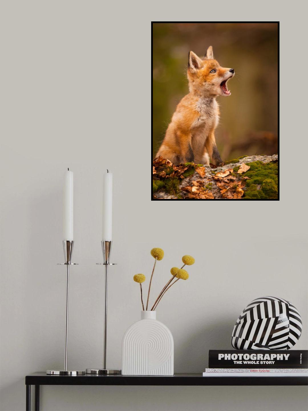 Fox Poster och Canvastavla
