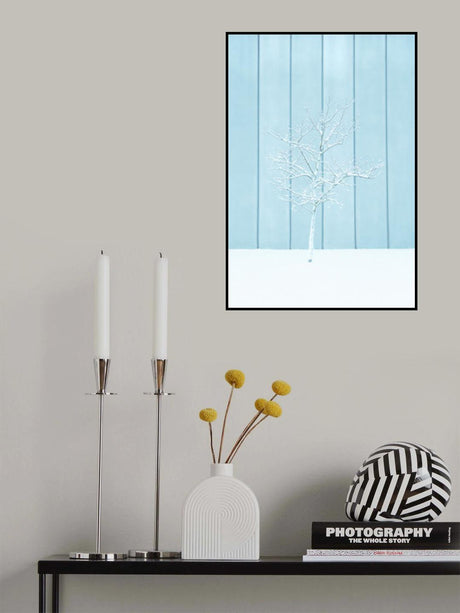 A lonely Snow Tree Poster och Canvastavla