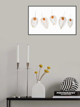 Chinese lanterns Poster och Canvastavla