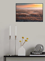 DAWN Poster och Canvastavla