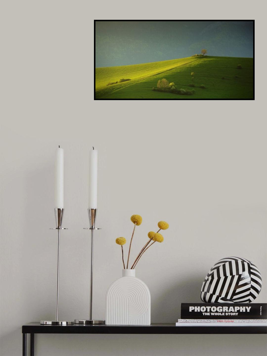 painted with light . . Poster och Canvastavla