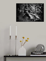 Boys in corn Poster och Canvastavla