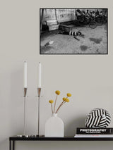 Where is humanity? Poster och Canvastavla