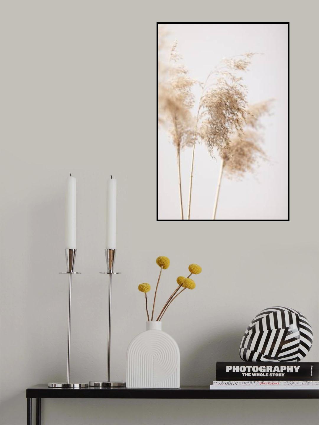 Reed Grass Grey 09 Poster och Canvastavla