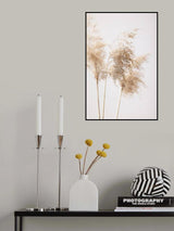 Reed Grass Grey 09 Poster och Canvastavla