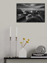 "Silent Swarm" Poster och Canvastavla