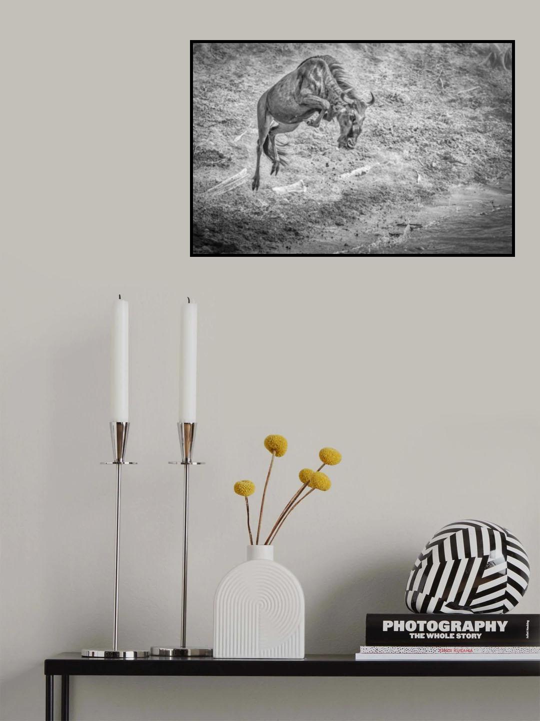 The leap for life Poster och Canvastavla