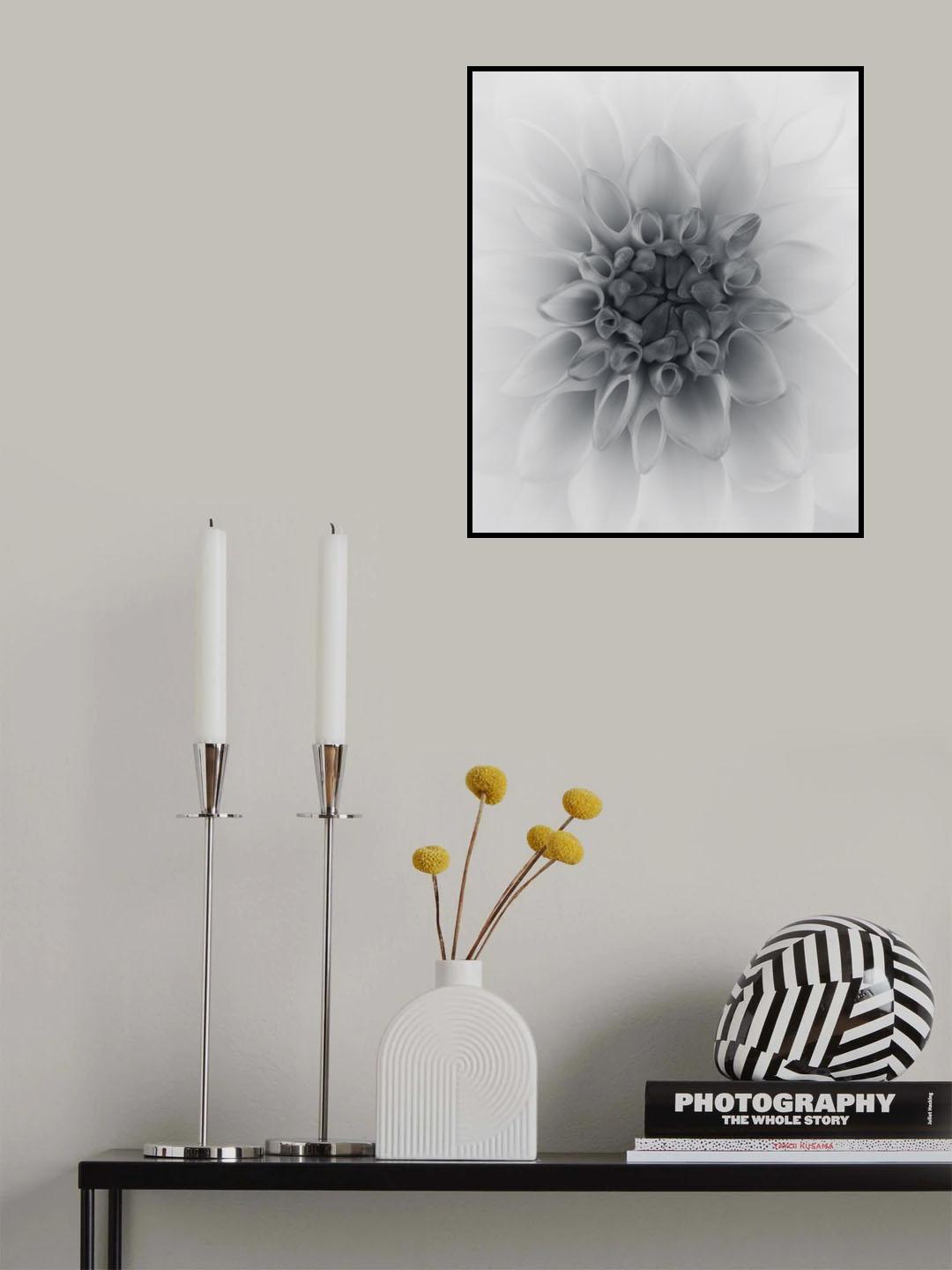 Dahlia Poster och Canvastavla