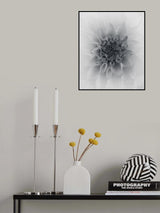 Dahlia Poster och Canvastavla