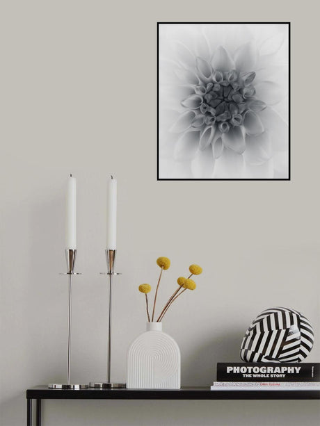 Dahlia Poster och Canvastavla