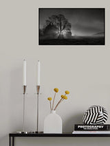 Expecting a beautiful day Poster och Canvastavla