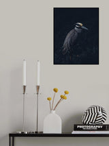 Poster och Canvastavla