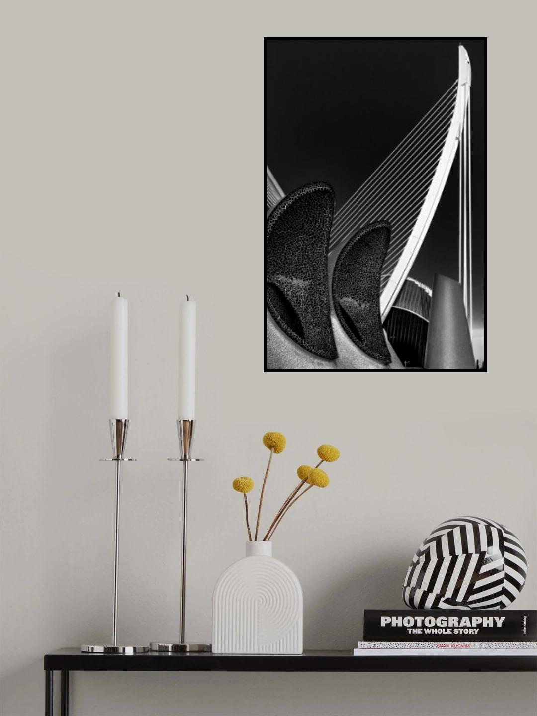 Harp concerto Poster och Canvastavla