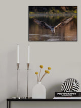 Aiming! Poster och Canvastavla