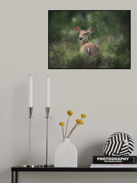 Doe-eyed Poster och Canvastavla