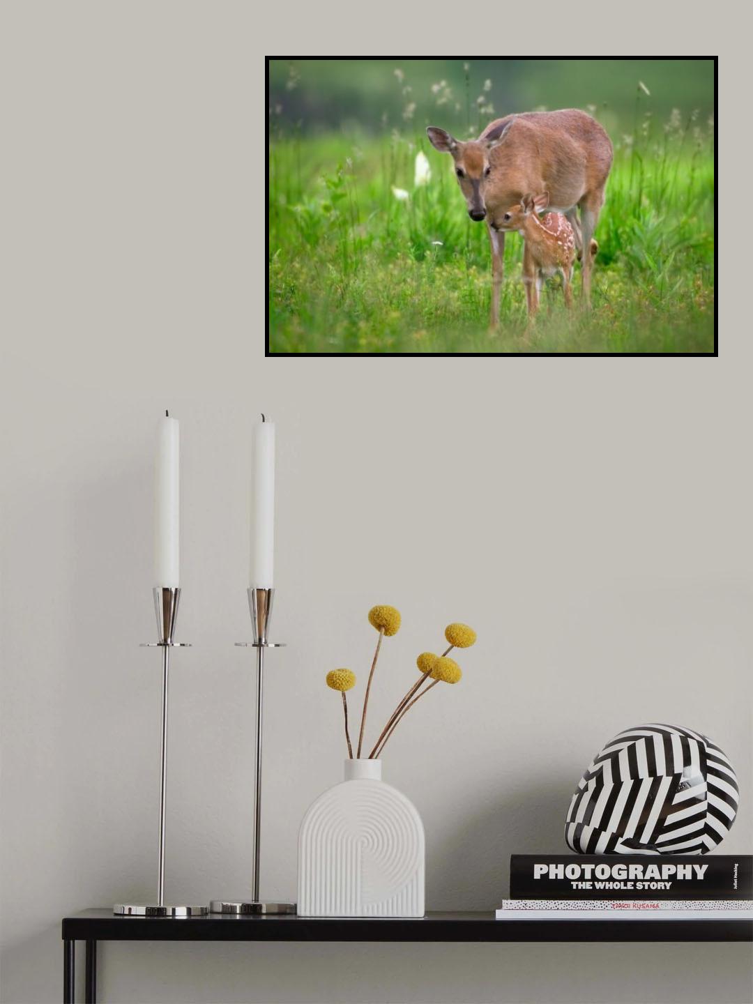 Tender Moment Poster och Canvastavla