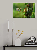 collaboration to feeding line for offspring Poster och Canvastavla