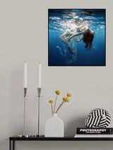Charm Poster och Canvastavla