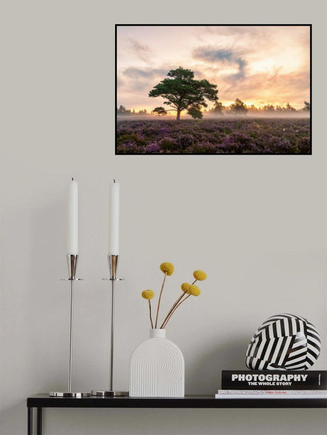 The tree on the heath. Poster och Canvastavla