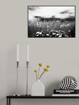 Poster och Canvastavla