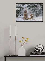* Poster och Canvastavla
