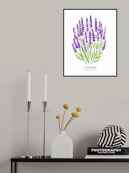 Lavender I Poster