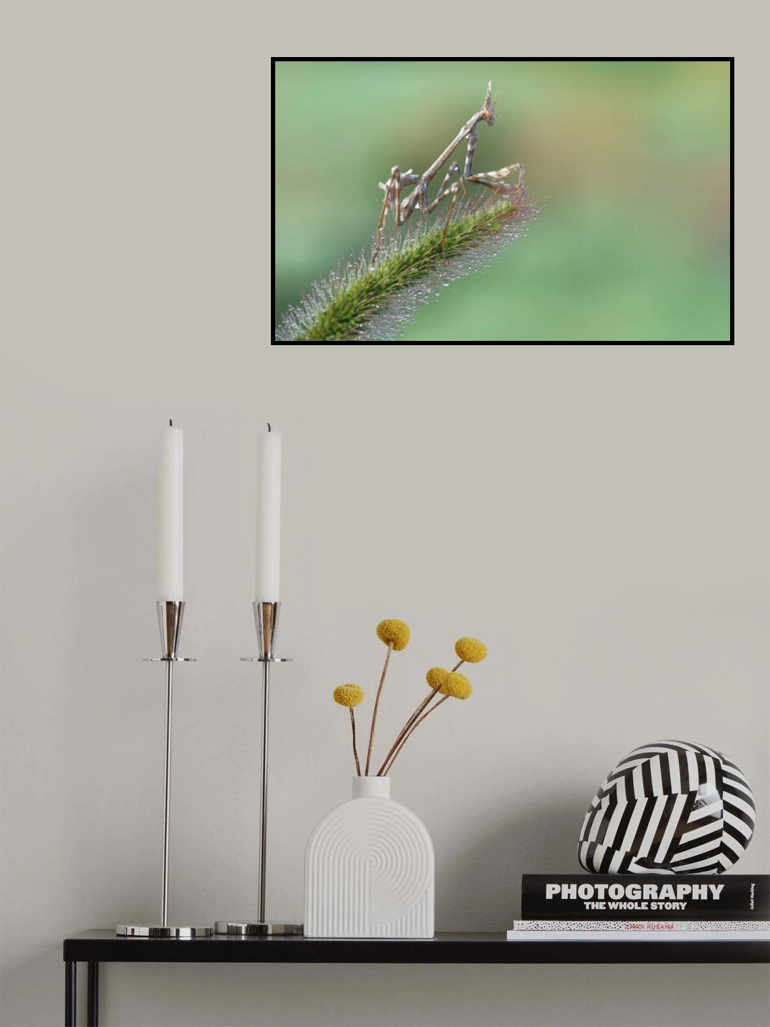 Balneotherapy... Poster och Canvastavla
