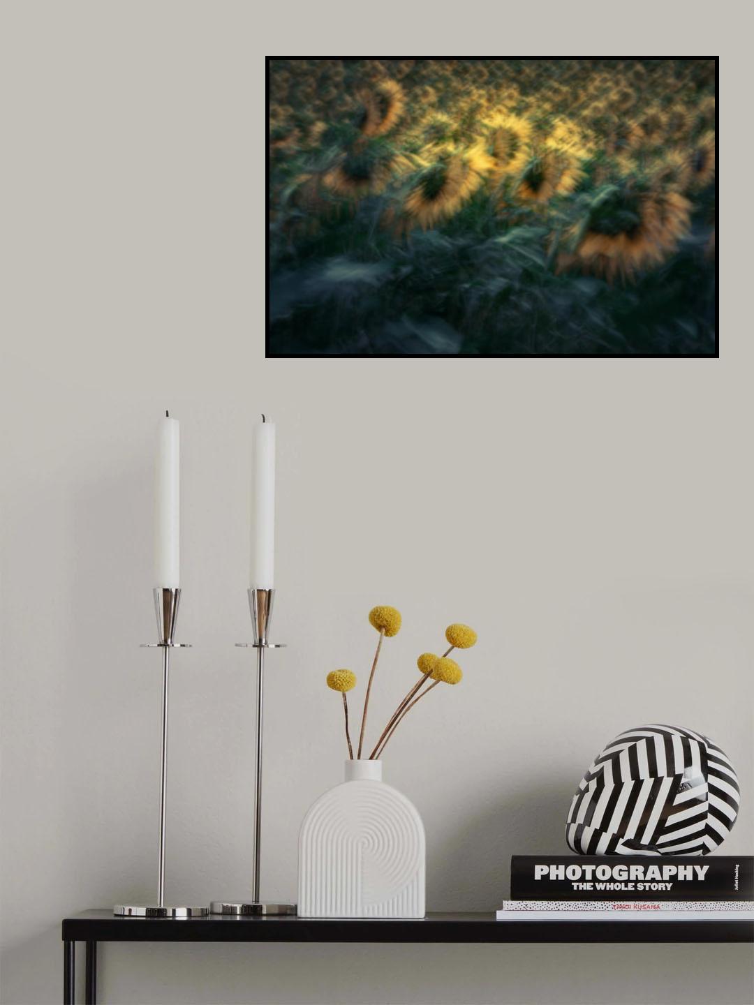 Sunflower Poster och Canvastavla