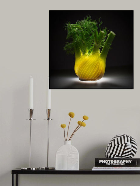 Fennel Poster och Canvastavla