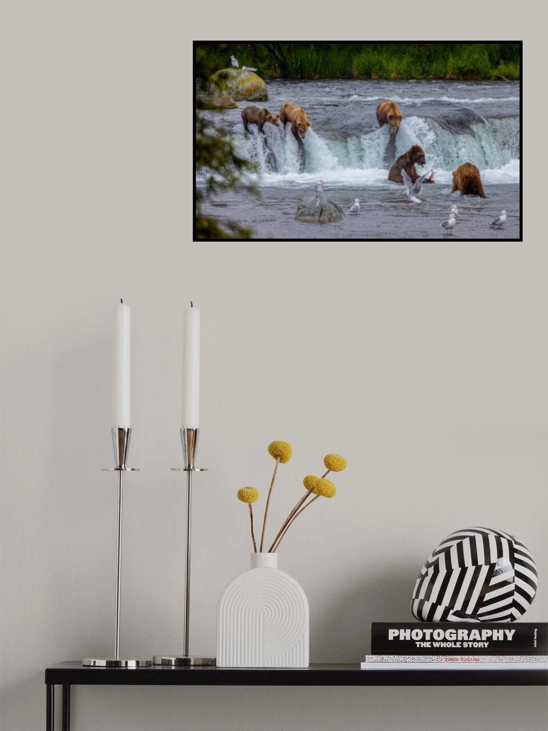 Harmony Poster och Canvastavla