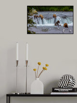 Harmony Poster och Canvastavla