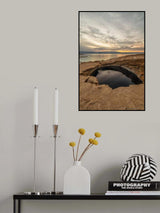 The Dead Sea Swallow Poster och Canvastavla