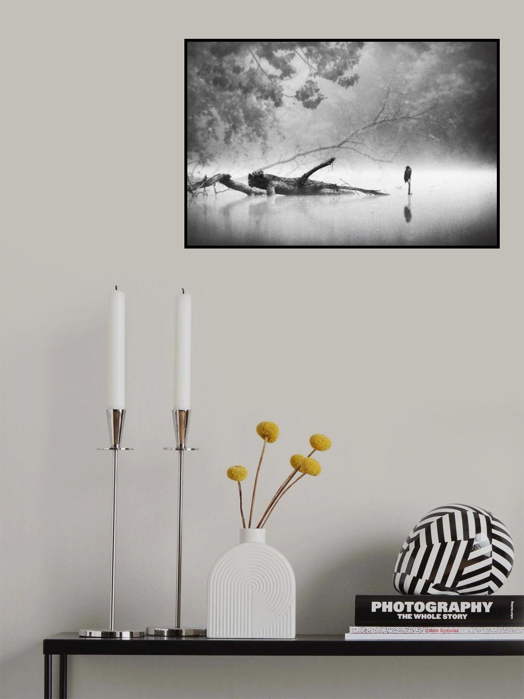 A Foggy Fall Morning Poster och Canvastavla
