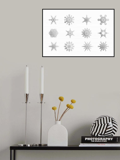 Twelve geometric snowflakes in gray Poster och Canvastavla