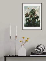 The Oblique–Leaved Begonia from The Temple of Flora (1807) Poster och Canvastavla