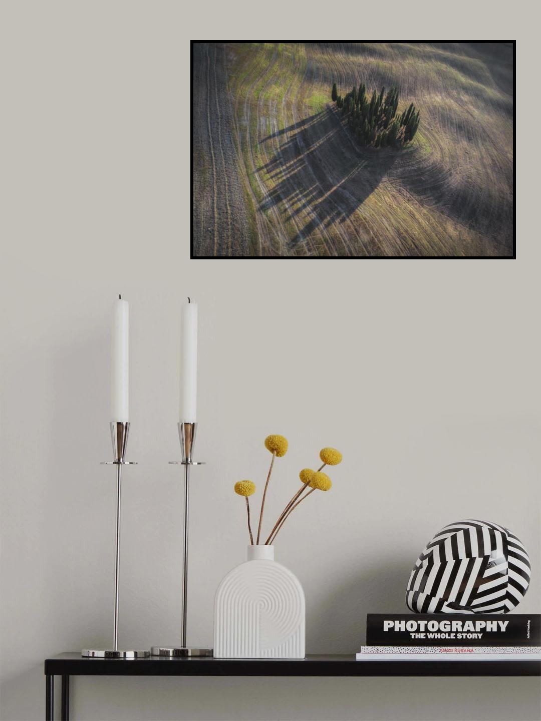 Cipressini Poster och Canvastavla