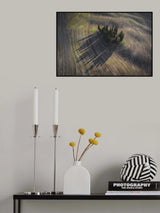 Cipressini Poster och Canvastavla