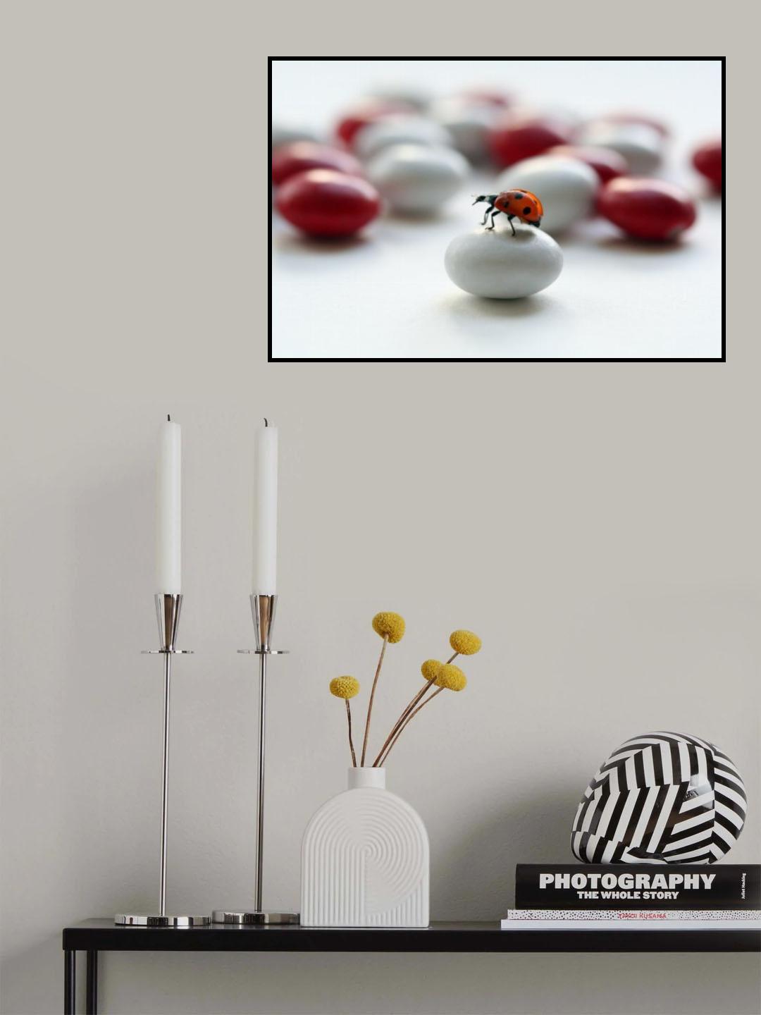 Ladybug Poster och Canvastavla