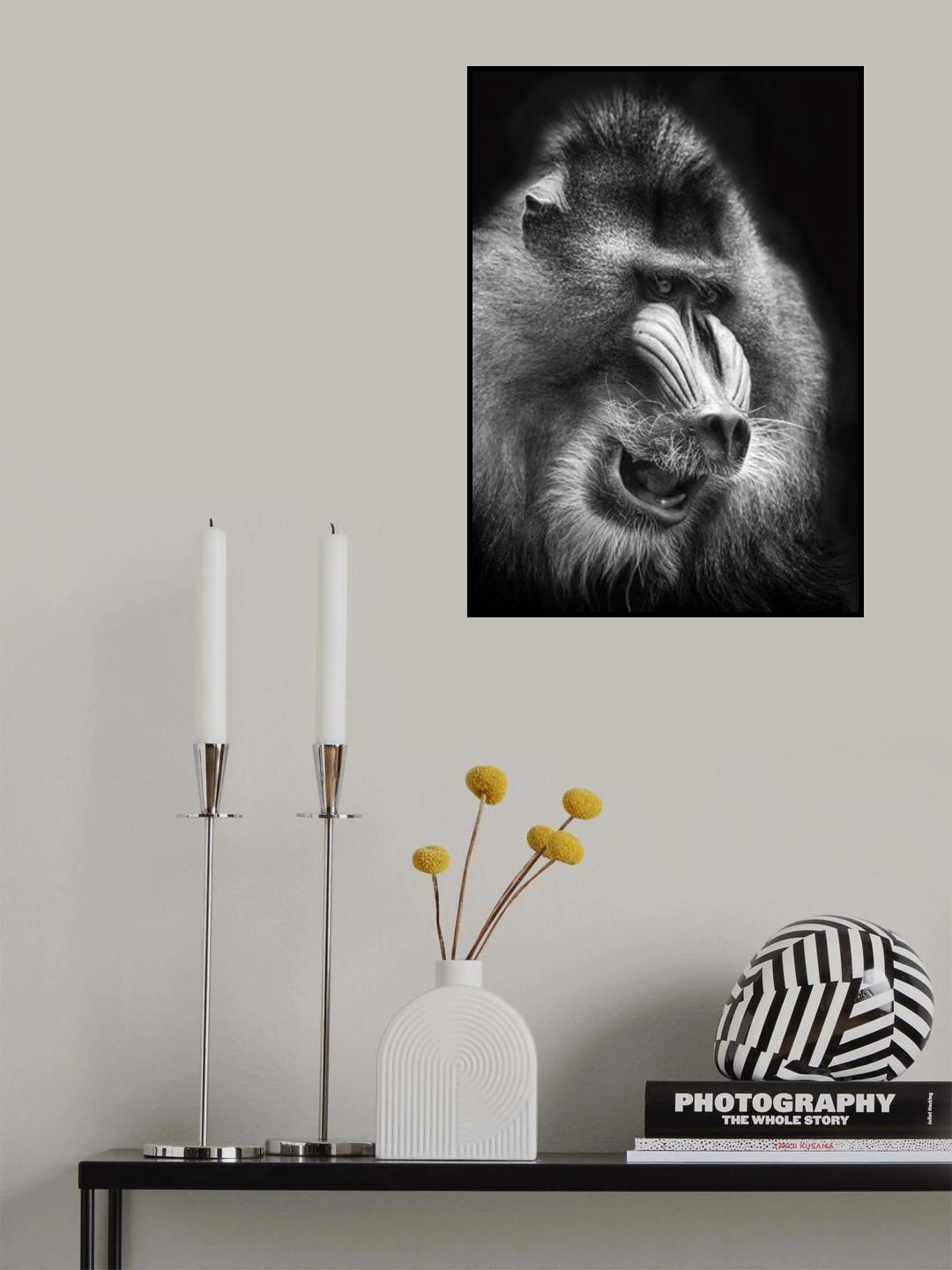 Mandrill Poster och Canvastavla
