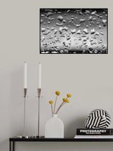 Xe30742 Poster och Canvastavla