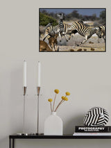 Conflict Poster och Canvastavla