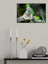 Rest Poster och Canvastavla